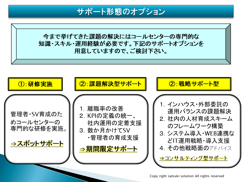 サポート形態のオプション